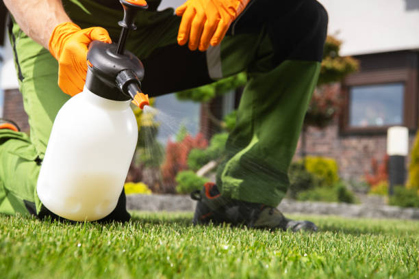 Best Bird Control  in Cudahy, CA