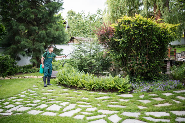 Best Pest Removal Services  in Cudahy, CA