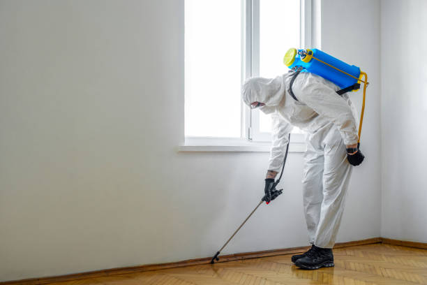 Best Affordable Pest Control Services  in Cudahy, CA