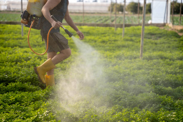 Best Exterminator Services  in Cudahy, CA