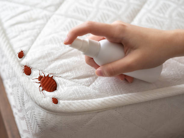 Best Pest Control Near Me  in Cudahy, CA