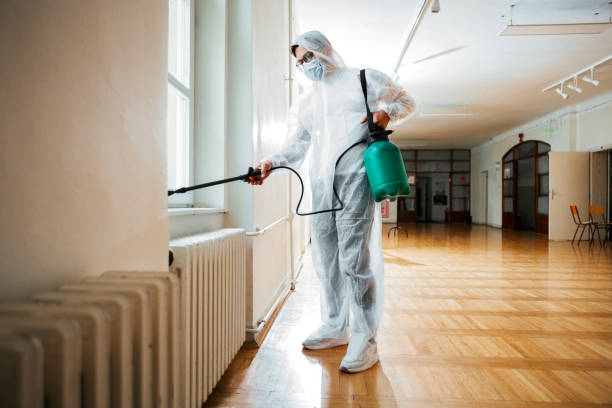 Pest Prevention Services in Cudahy, CA
