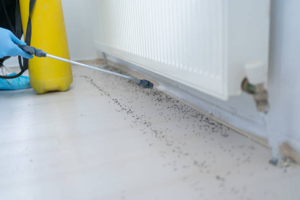 Trusted Cudahy, CA Pest Control Experts