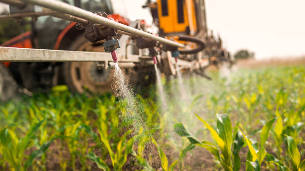 Best Ant Control Services  in Cudahy, CA